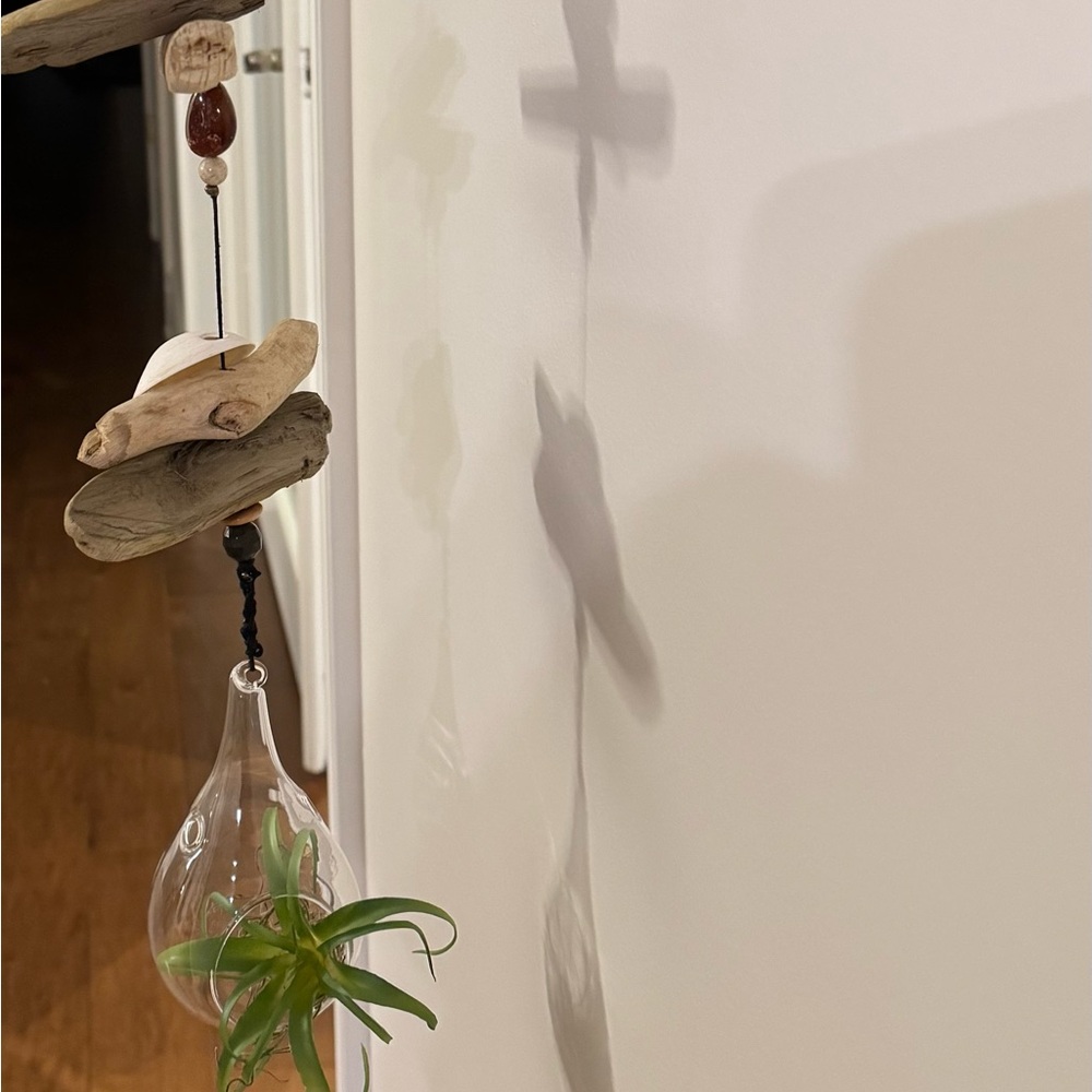 Rustic Driftwood Hanging Shelf with Air Plant - Picture 2 of 7